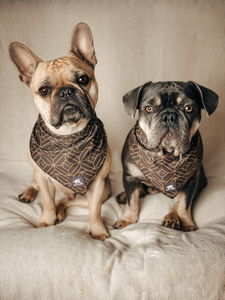 Hundehalstuch Golden Shimmer - Fibi & Karl